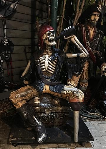 Drunken Pirate