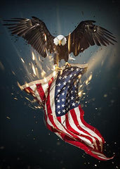 Bald Eagle American Flag