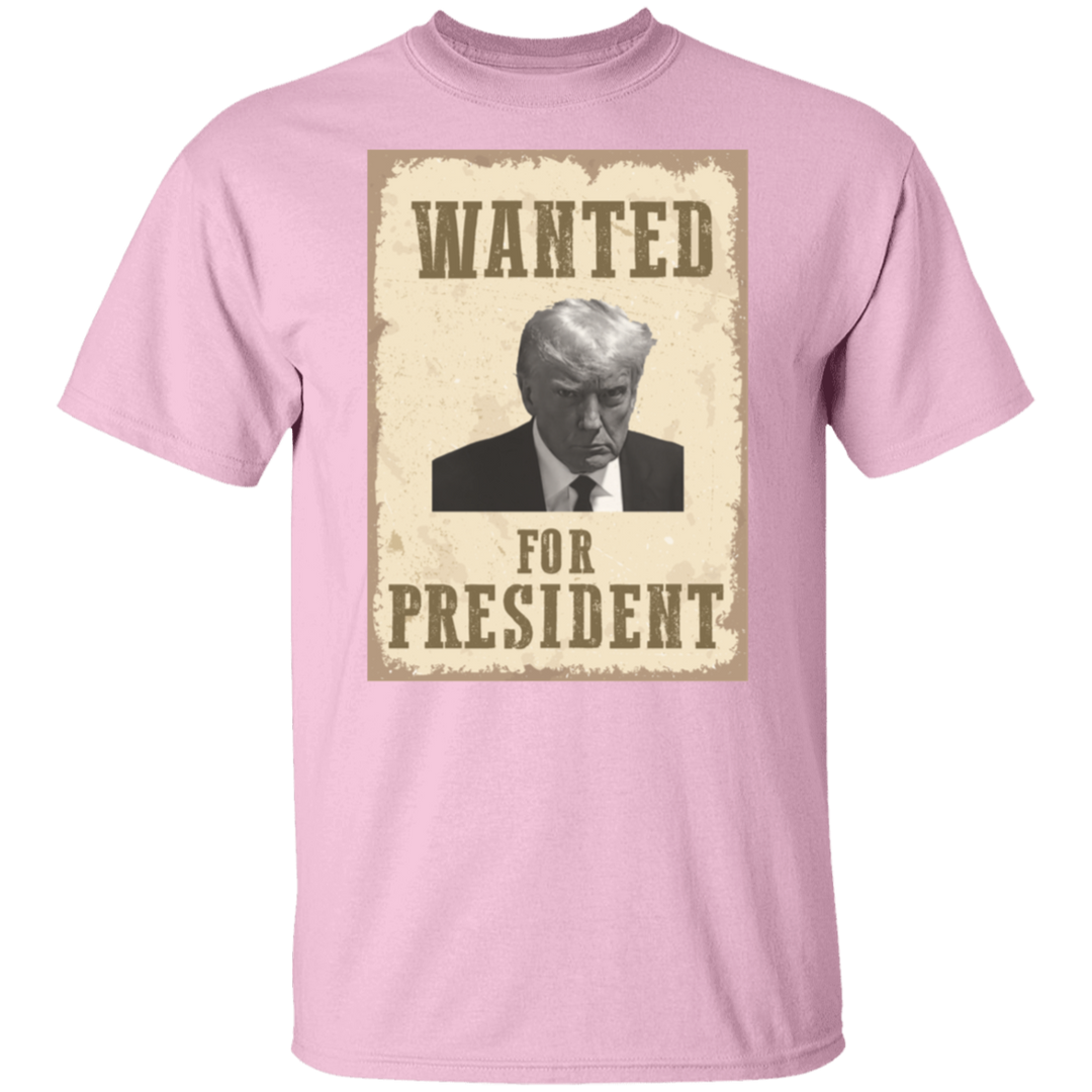 Wanted For President