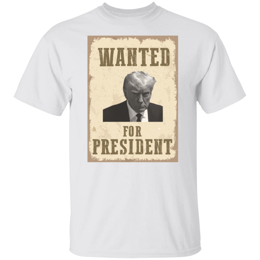 Wanted For President