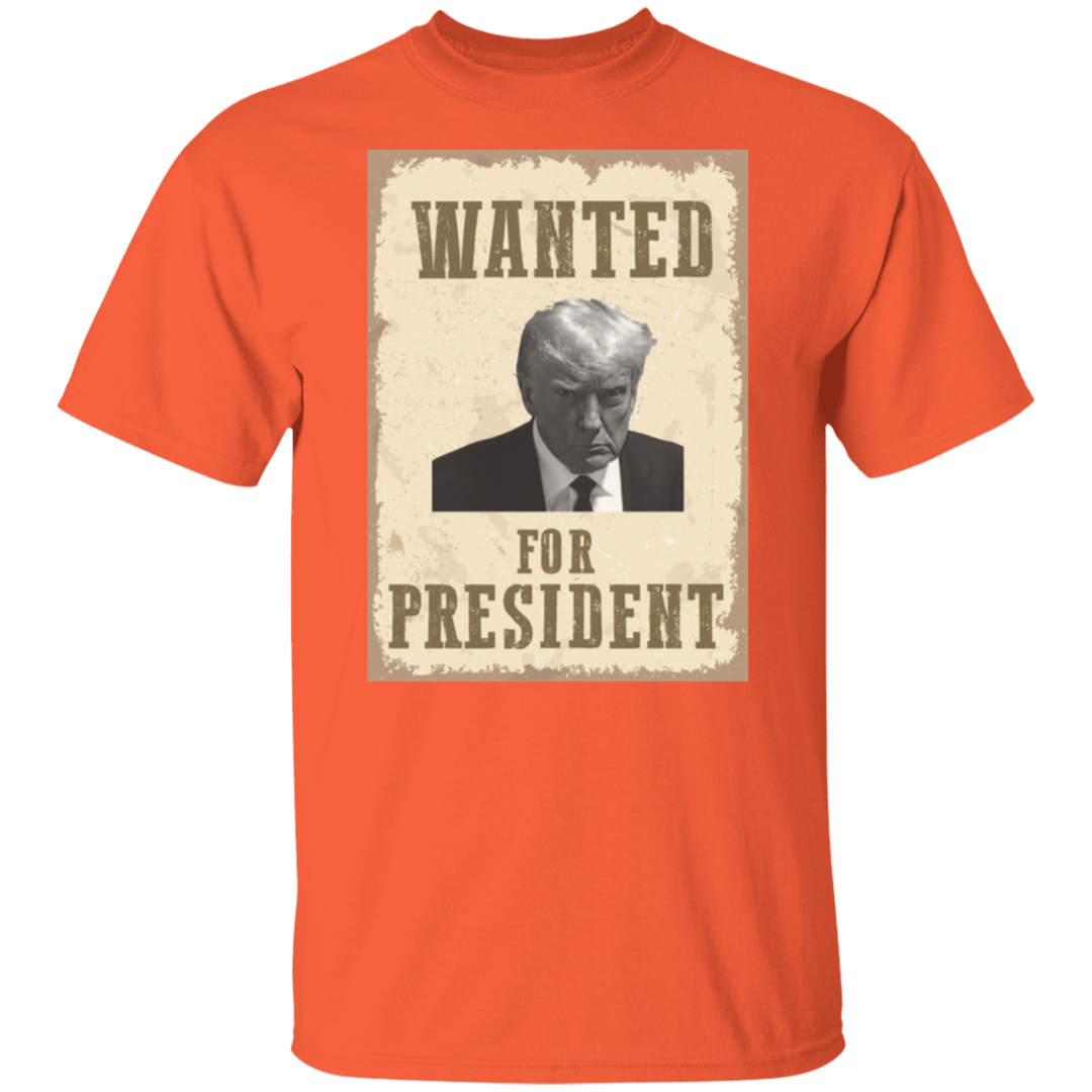 Wanted For President