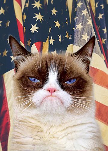 Patriotic Grumpy Cat